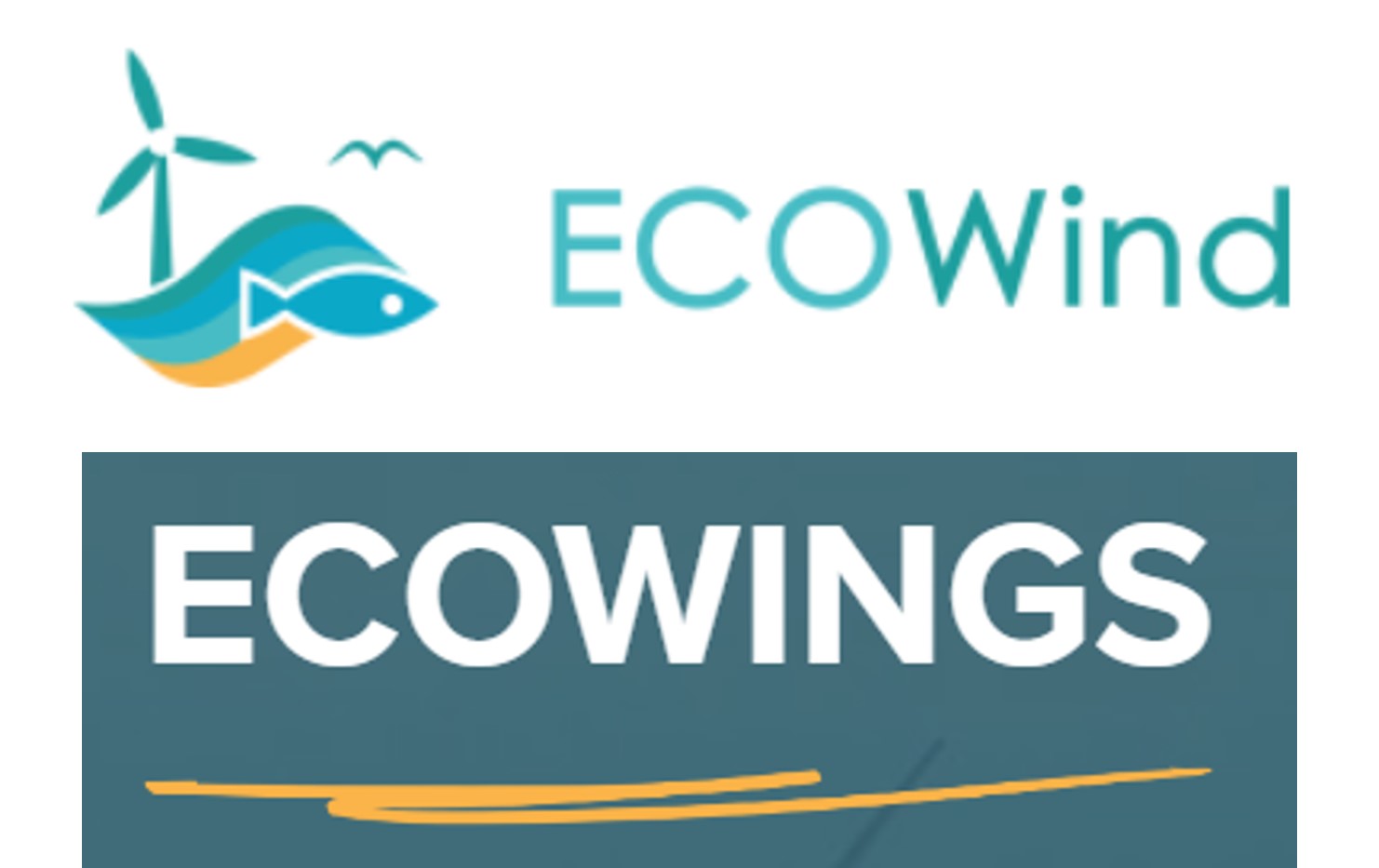 ECOWind/ECOWINGS logo