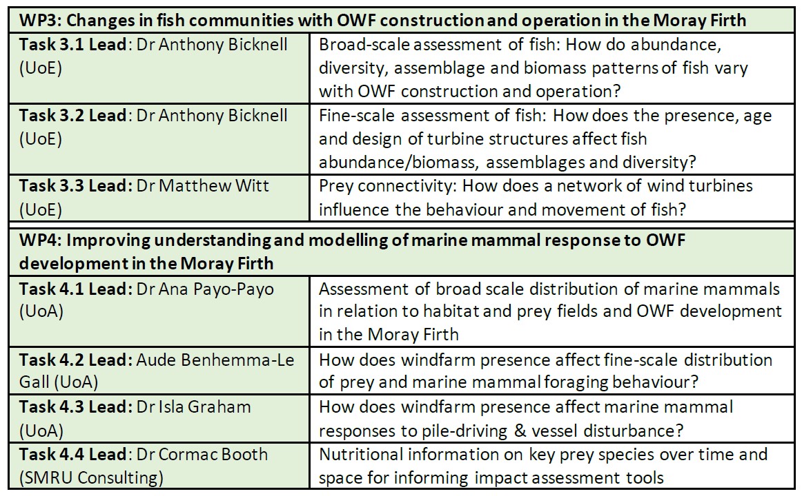 Workstream B – PrePARED