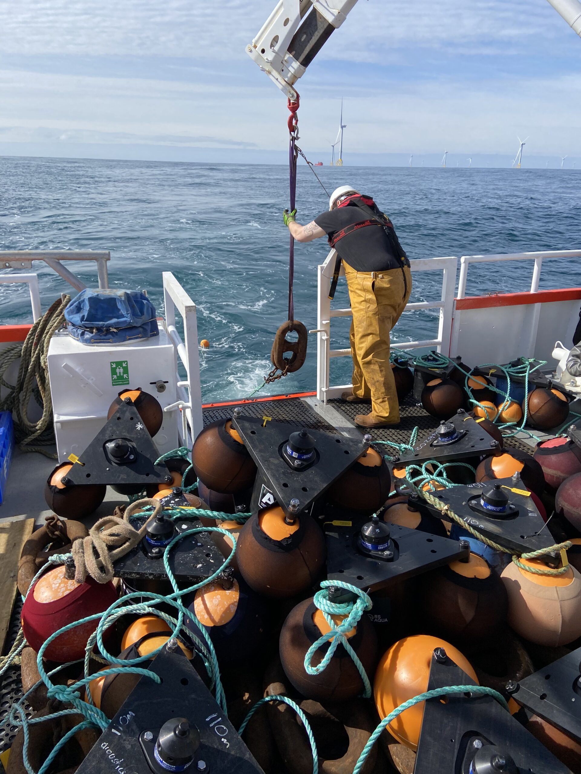 PrePARED team member standing on boat recovering buoys with windfarm in background