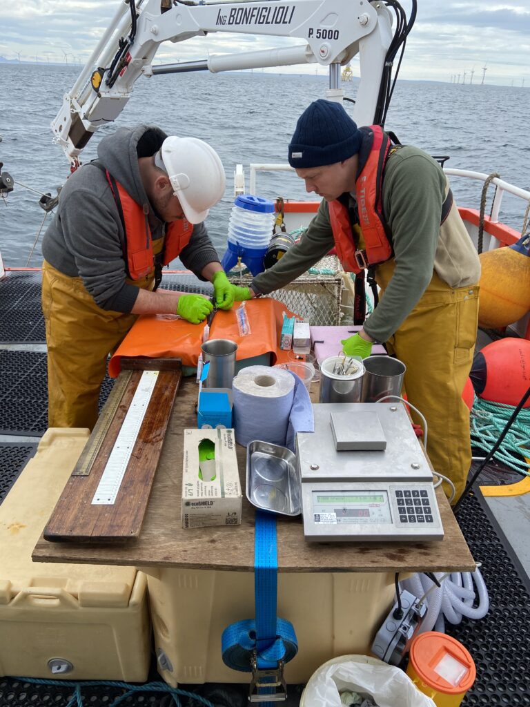 2 PrePARED team members standing on boat and tagging fish