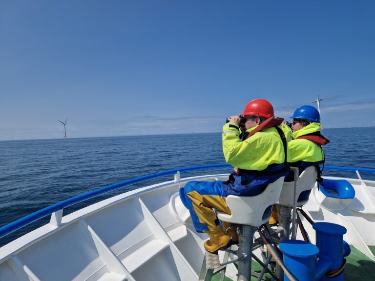 2 scientists using binoculars on boat to undertake seabird surveys