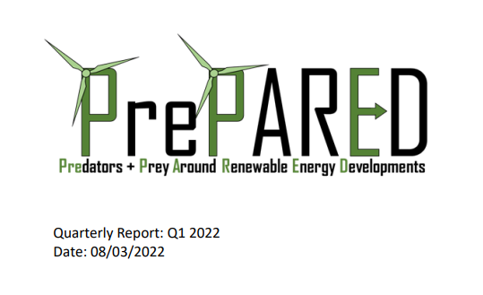 Screenshot of report cover for Quarterly report: Q1 2022