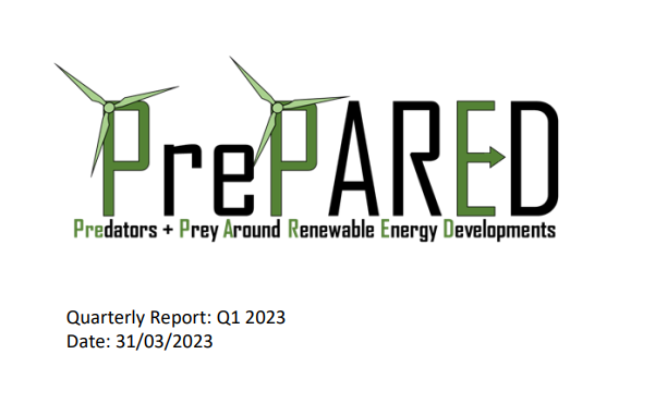 Screenshot of report cover for Quarterly report: Q1 2023