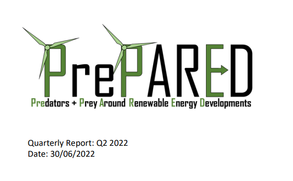 Screenshot of report cover for Quarterly report: Q2 2022