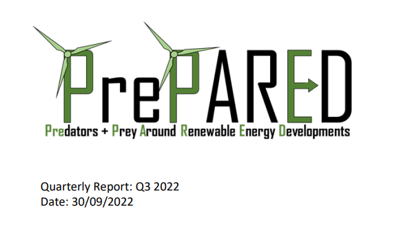 Screenshot of report cover for Quarterly report: Q3 2022