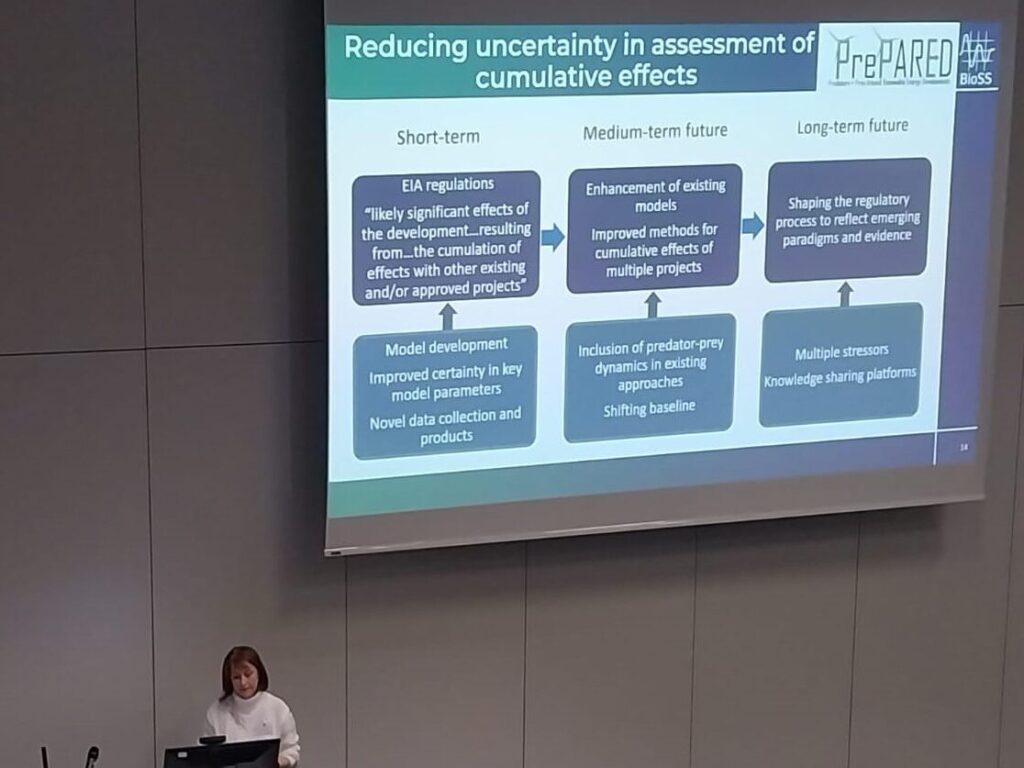 PrePARED colleague presenting at event. Presentation slides state "Reducing uncertainty in assessment of cumulative effects - Short term, Medium-term future and Long-term future"