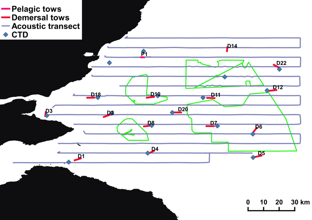 Map showing transect lines in Firth of Forth