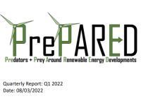 Screenshot of report cover for Quarterly report: Q1 2022