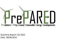 Screenshot of report cover for Quarterly report: Q2 2022