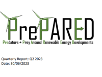 Screenshot of report cover for Quarterly report: Q2 2023